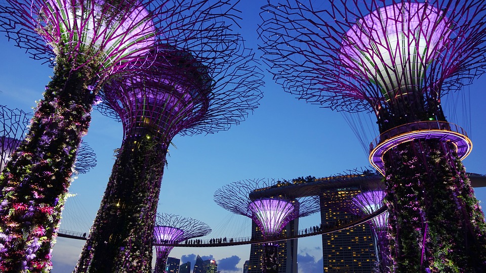Singapore: diritti e poteri degli azionisti