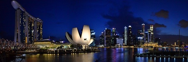 Singapore: diritti e responsabilità dei soci