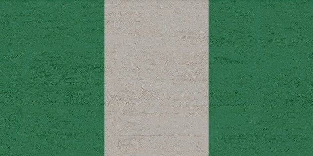 Diritto societario in Nigeria