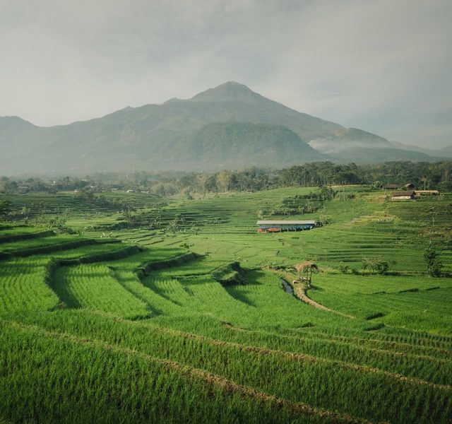 Indonesia: gli investimenti stranieri