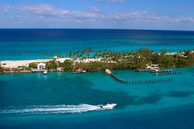 Bahamas: Esecuzione digitale e sigilli aziendali
