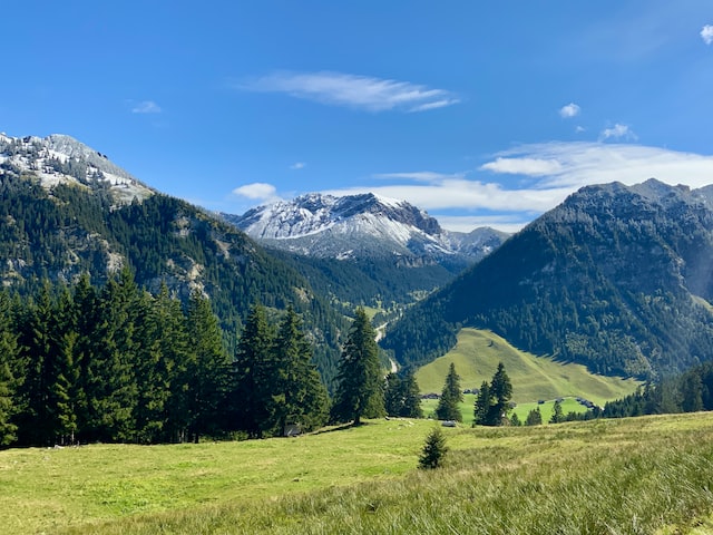 Liechtenstein: Interpretazione dei contratti commerciali