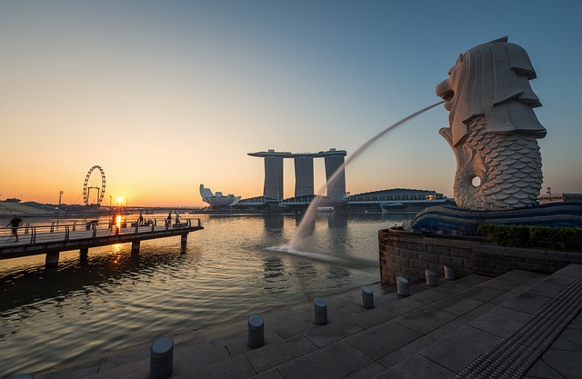 Singapore: La formazione del contratto