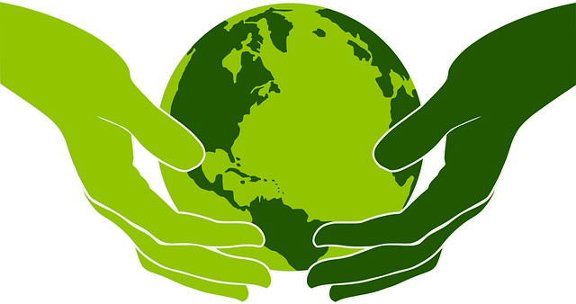 Brasile: Progressi nella tassonomia verde