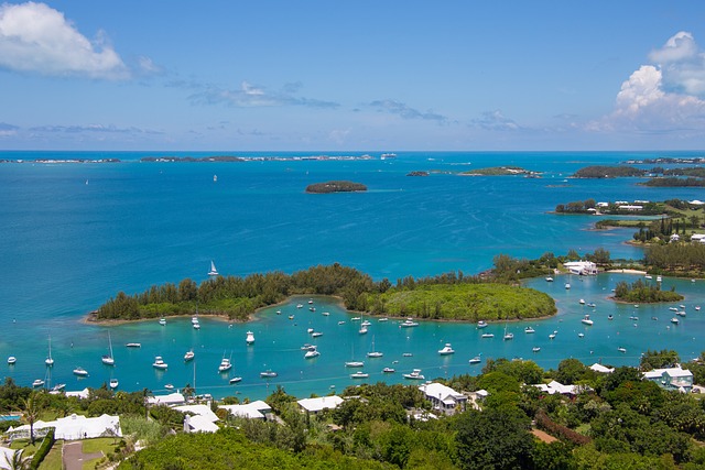Bermuda: La responsabilità degli amministratori e dei funzionari nelle insolvenze societarie