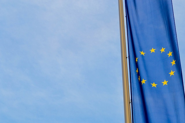 Unione europea: Secondo Pilastro e Due diligence fiscale in materia di M&A