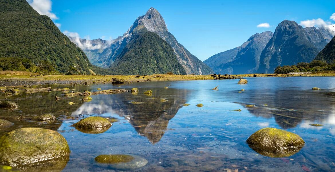 Nuova Zelanda: nuova registrazione delle società entro il 5 aprile 2026