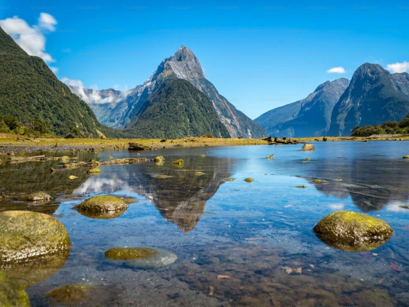 Nuova Zelanda: nuova registrazione delle società entro il 5 aprile 2026