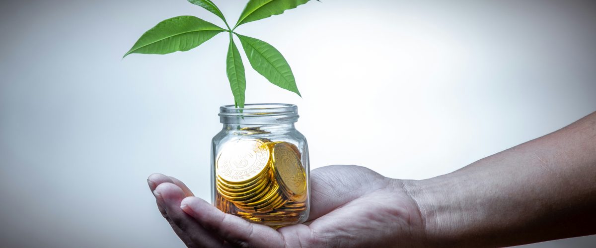 Gli investimenti tramite piattaforme di crowdfunding: profili generali di responsabilità per gli investitori immobiliari. Il ruolo del Gestore.