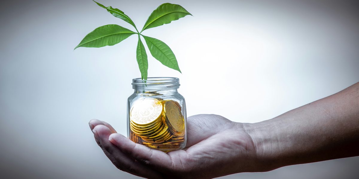 Gli investimenti tramite piattaforme di crowdfunding: profili generali di responsabilità per gli investitori immobiliari. Il ruolo del Gestore.