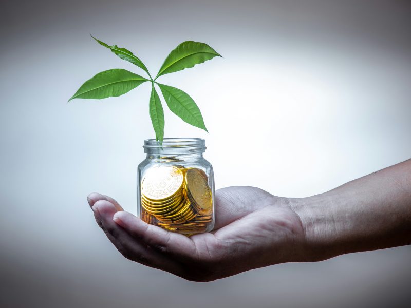 Gli investimenti tramite piattaforme di crowdfunding: profili generali di responsabilità per gli investitori immobiliari. Il ruolo del Gestore.